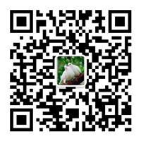 除塵設(shè)備_脫硝脫硫設(shè)備_污水處理_煙氣粉塵治理_唐山鉑銳環(huán)?？萍加邢薰?/></div>
      <!--二維碼結(jié)束-->
      <div   id=